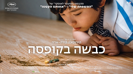 תמונת מופע: סרט&colon; "כבשה בקופסה"